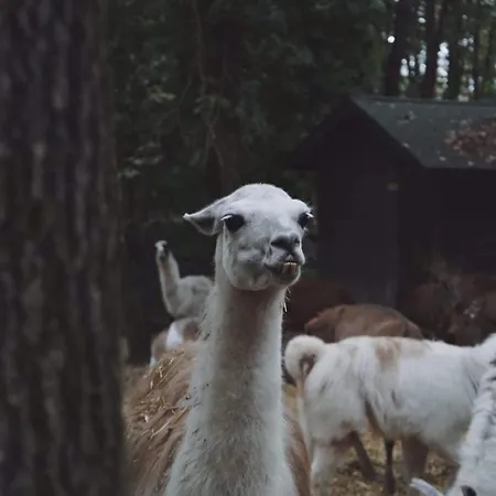 Feriested Polonezkoey Country Club & In The Wildlife Park!