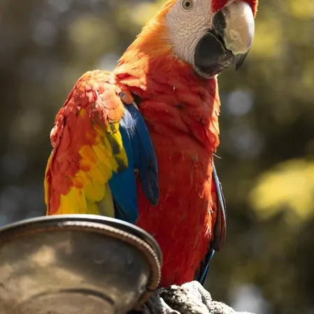 Polonezkoey Country Club & In The Wildlife Park! 3*