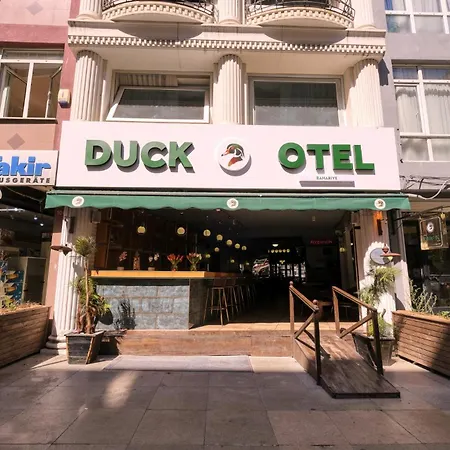 Duck Provincia di Istanbul