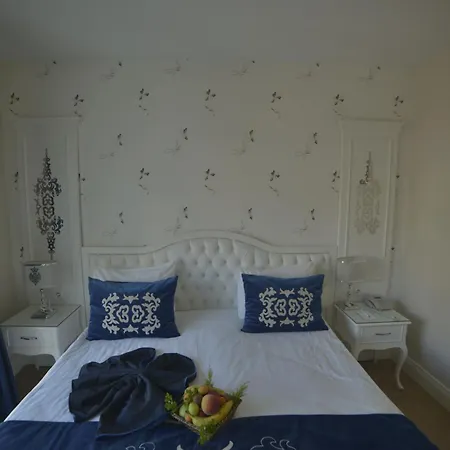 Sarnic Premier 4*