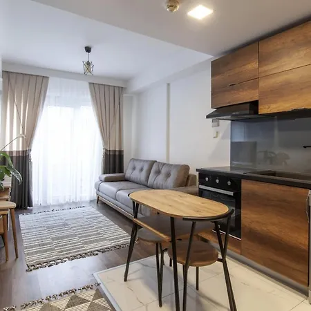 Apartment Flat With Excellent Location In Sisli Istanbul