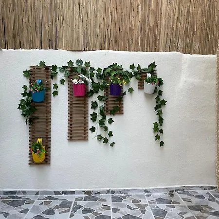 Flat In Historical Area In Sultanahmet Apartment *