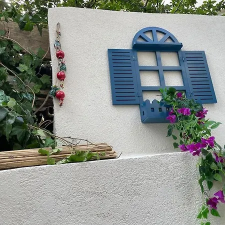 Flat In Historical Area In Sultanahmet Apartment *