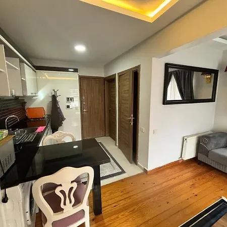 Apartment Spacious And Cozy Flat Near Taksim Square No3 *