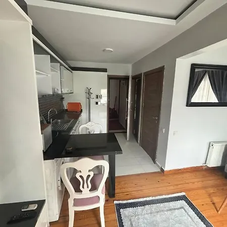 Apartment Spacious And Cozy Flat Near Taksim Square No3 Istanbul