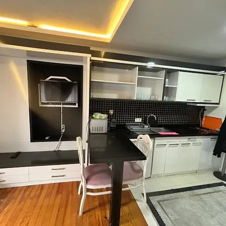 Spacious And Cozy Flat Near Taksim Square No3 Apartment *