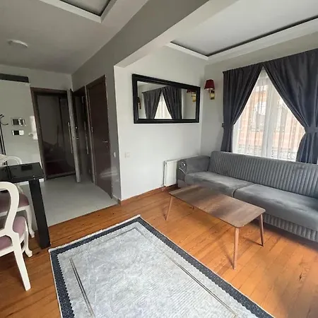 Apartment Spacious And Cozy Flat Near Taksim Square No3