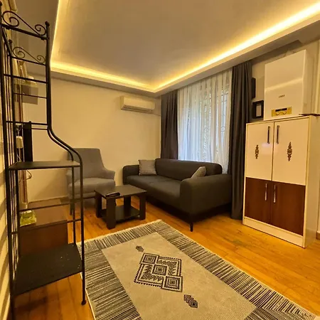 Cozy Garden-level Near Taksim Apartament *