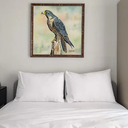 Haus Pera Apartment Istanbul