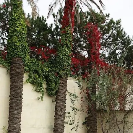 Beyaz Koesk Villa