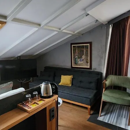 Hotel Aleksandr Pera Provincia di Istanbul