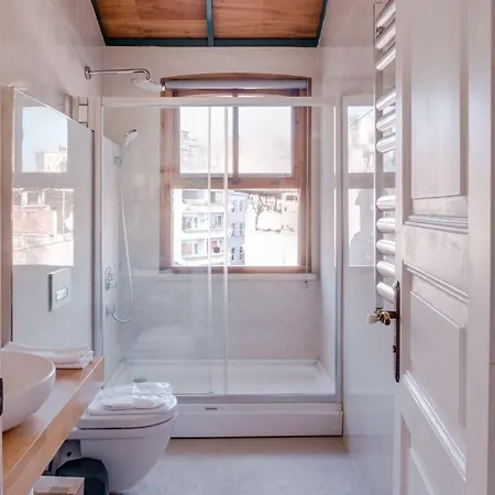 Homie - Historical Nearby Galata Tower Apartment Istanbul