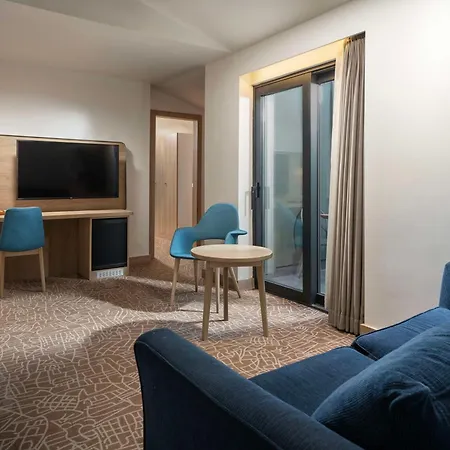 Hotel Park By Radisson Airport Odayeri 4*