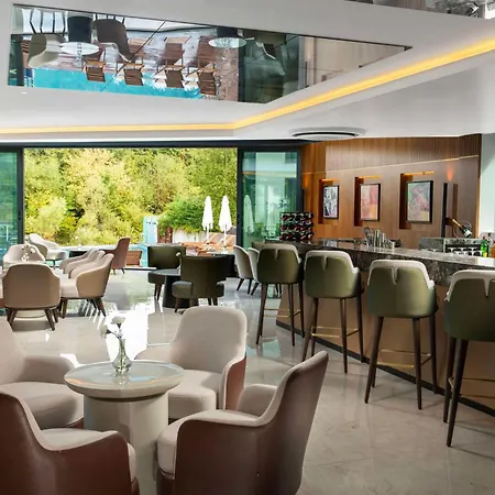 Hotel Park By Radisson Airport Odayeri 4*