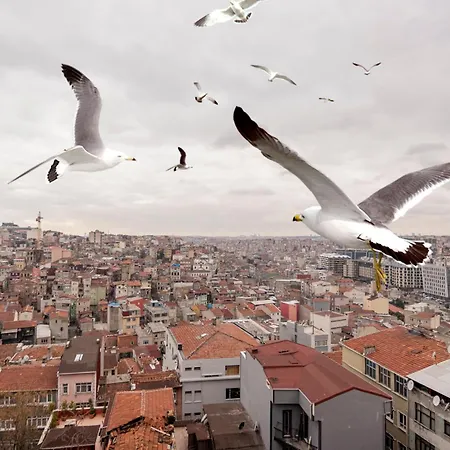 Taksim Roya - Taksim Istanbul