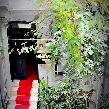 Mimoza Istiklal *