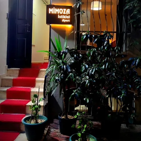 Mimoza Istiklal * 伊斯坦布尔