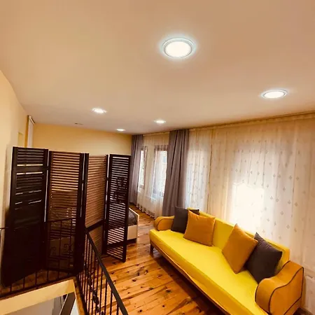 Dublex Flat In Taksim