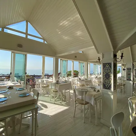 Avicenna Sultanahmet 4*