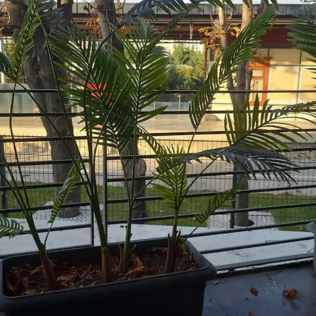 Hotell Bella 3 Istanbul