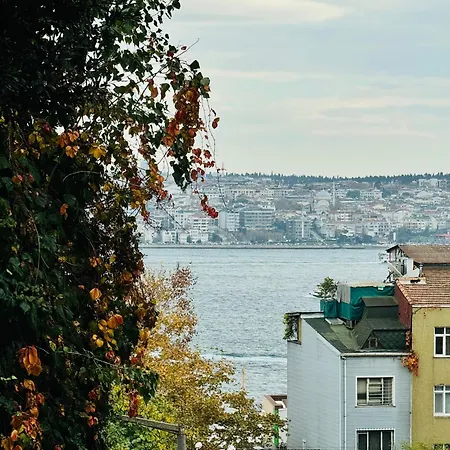 с видом на босфор * Istanbul