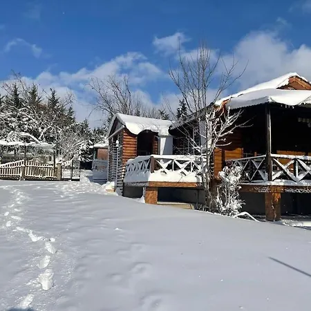 Villa Elbasan *