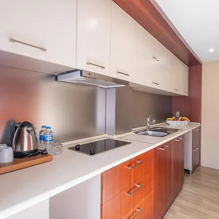 Hotel Clover Sisli 4*
