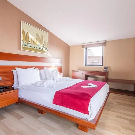Hotel Clover Sisli 4*