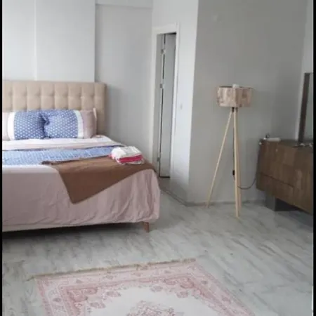 Bed & Breakfast Forest Villa-2 , 6 Minutes From The Airport Istanbul