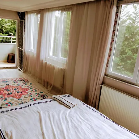 Bed & Breakfast Forest Villa-2 , 6 Minutes From The Airport *