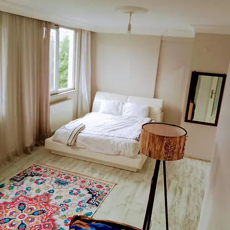 Forest Villa-2 , 6 Minutes From The Airport Istanbul