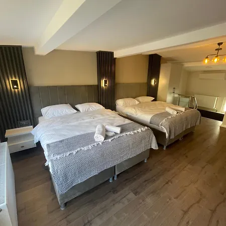 Golden Arrow Deluex Dublex Apartment Istanbul