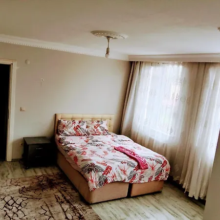 Forest Villa-2 , 6 Minutes From The Airport Bed & Breakfast