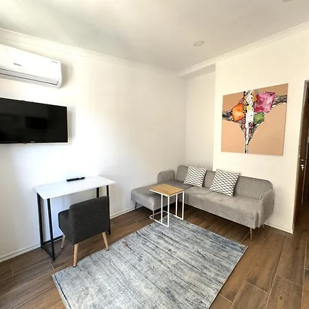 Apartment Stylish And Cozy In Taksim *