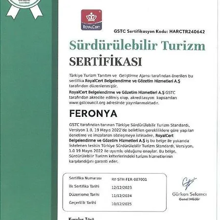 Hotel Feronya 4*