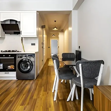 Apartment Hearth Of Downtown ,luxury 1 New Istanbul