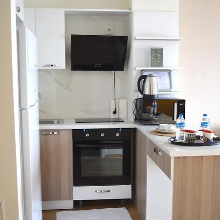 Classic Ms33 Apartment *
