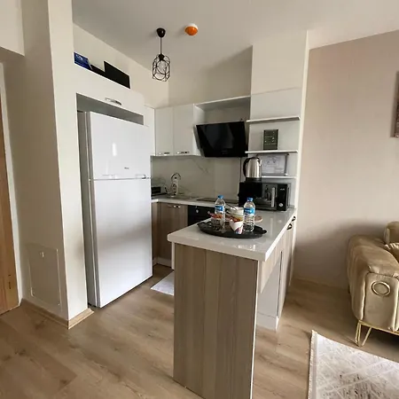 Apartment Classic Ms33 Istanbul
