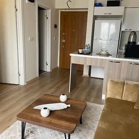 Classic Ms33 Apartment *
