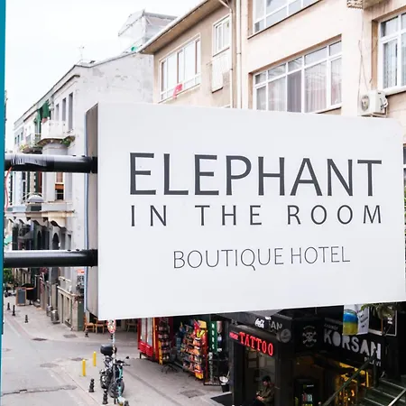 Elephant In The Hotel