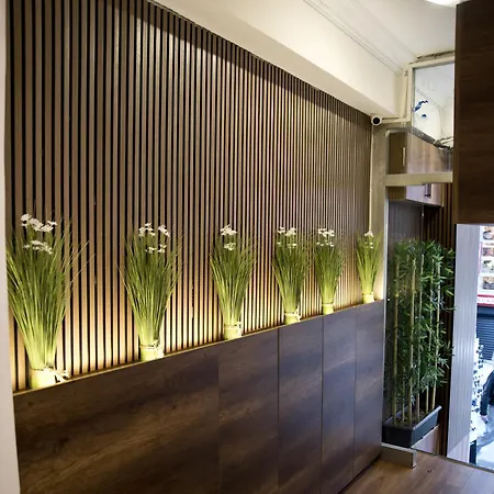 فندق Aurora Eco