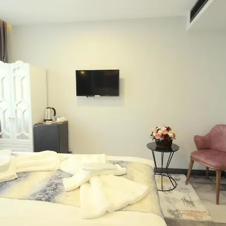 Guler Palas Vefa 3* Istanbul