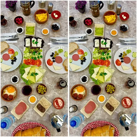 Guler Palas Vefa Hotel 3*