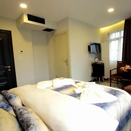 Guler Palas Vefa 3* Istanbul