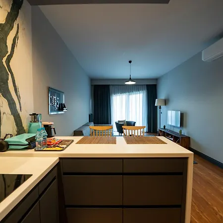 Beyoglu Benesta Residence, 2 Bedroom No-124 Istanbul