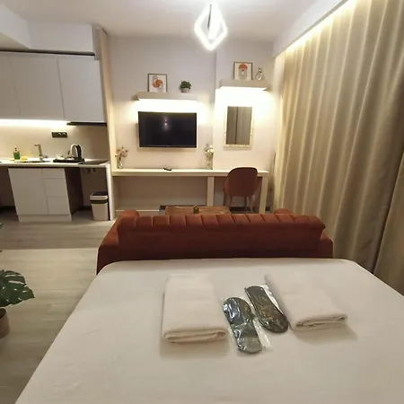 Dogan Palace 酒店 伊斯坦布尔