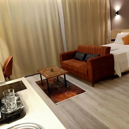 Dogan Palace 酒店