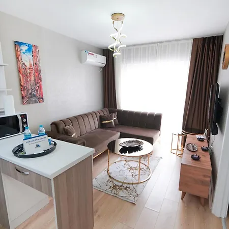 Apartment Classic Ts32 Istanbul