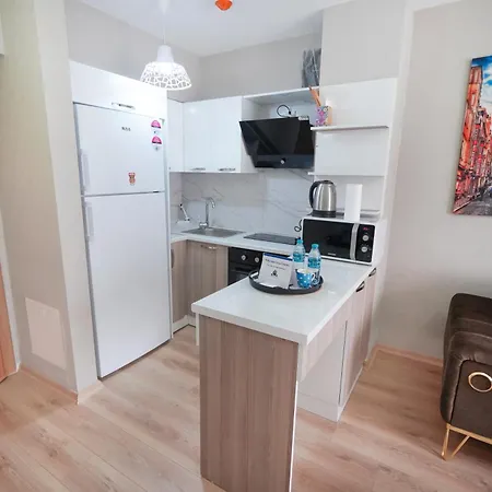 Apartment Classic Ts32