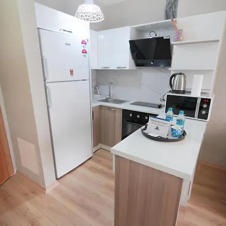 Classic Ts32 Apartment Istanbul